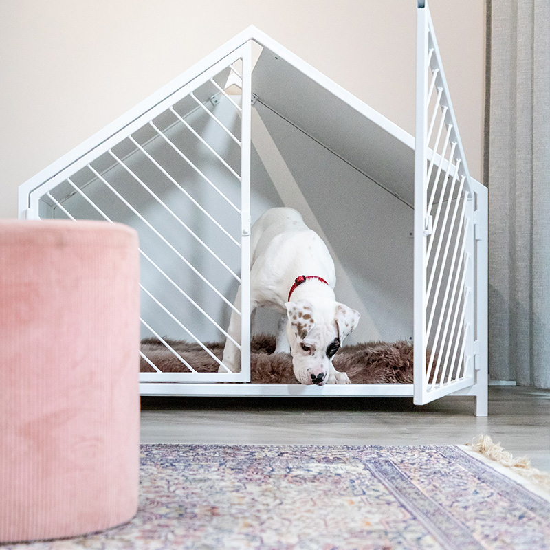 Ontvangende machine Onderdompeling Vertrouwen op Mooie honden bench die je zelf samenstelt » Homie Doghouses
