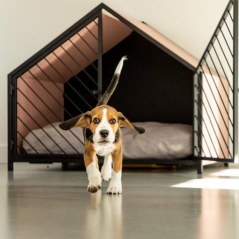 Ontvangende machine Onderdompeling Vertrouwen op Mooie honden bench die je zelf samenstelt » Homie Doghouses